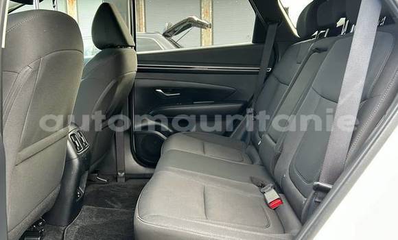 Buy Used Hyundai Tucson White Car in Arafat in Wilaya of Trarza Buy Used Hyundai Tucson White Car in Arafat in Wilaya of Trarza