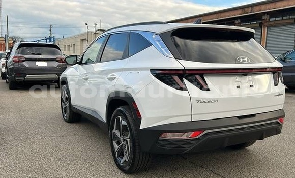 Buy Used Hyundai Tucson White Car in Arafat in Wilaya of Trarza Buy Used Hyundai Tucson White Car in Arafat in Wilaya of Trarza