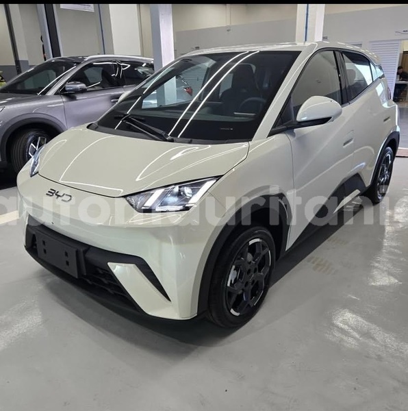 Big with watermark byd seagull wilaya du trarza arafat 5064