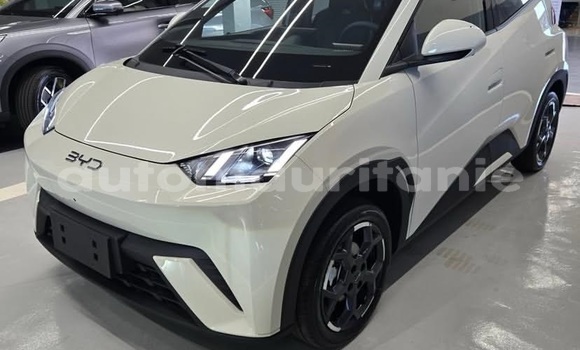 Acheter Occasion Voiture BYD Seagull Blanc à Arafat, Wilaya du Trarza