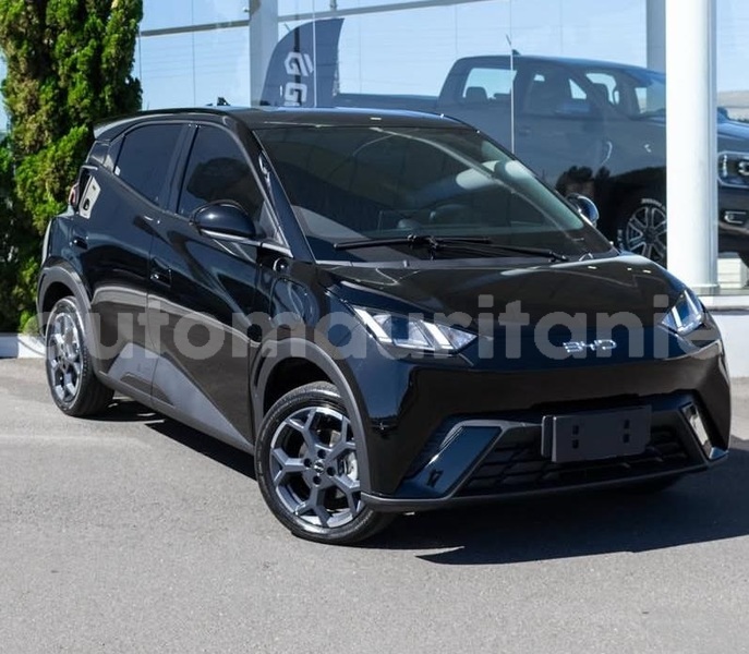 Big with watermark byd seagull wilaya du trarza arafat 5064