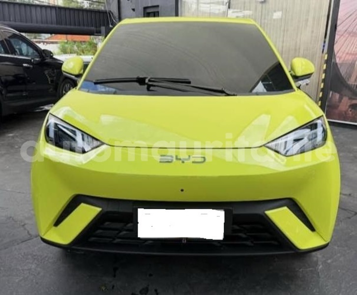 Big with watermark byd seagull wilaya du trarza arafat 5064