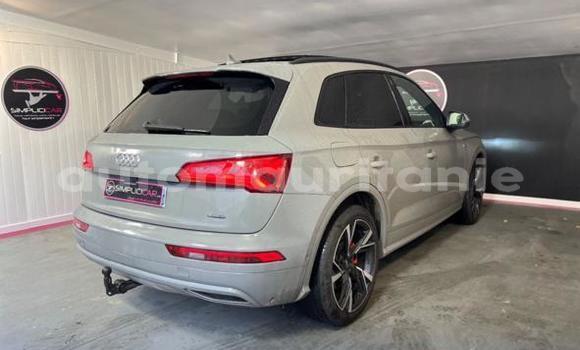 Buy Import Audi Q5 Silver Car in Import - Dubai in Adrar