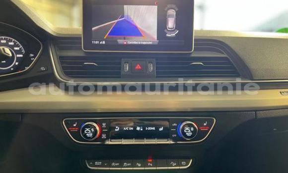 Acheter Import Voiture Audi Q5 Gris à Import - Dubai, Adrar Acheter Import Voiture Audi Q5 Gris à Import - Dubai, Adrar