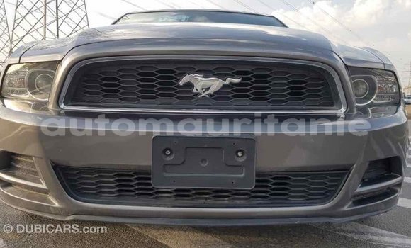 Acheter Import Voiture Ford Mustang Autre à Import - Dubai, Adrar Acheter Import Voiture Ford Mustang Autre à Import - Dubai, Adrar