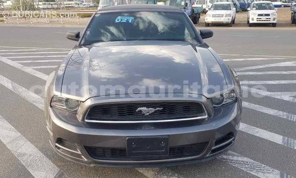 Acheter Import Voiture Ford Mustang Autre à Import - Dubai, Adrar Acheter Import Voiture Ford Mustang Autre à Import - Dubai, Adrar