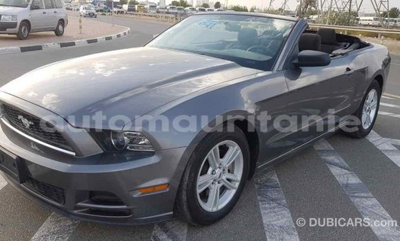 Acheter Import Voiture Ford Mustang Autre à Import - Dubai, Adrar Acheter Import Voiture Ford Mustang Autre à Import - Dubai, Adrar