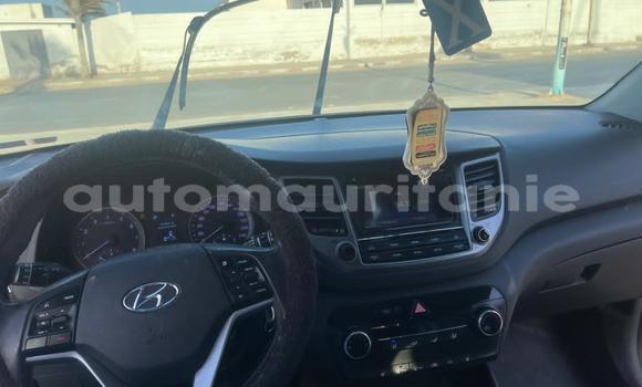 Acheter Occasion Voiture Hyundai Tucson Noir à Nouadhibou, Dakhlet Nouadhibou Acheter Occasion Voiture Hyundai Tucson Noir à Nouadhibou, Dakhlet Nouadhibou