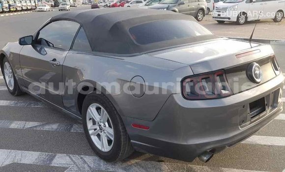 Acheter Import Voiture Ford Mustang Autre à Import - Dubai, Adrar Acheter Import Voiture Ford Mustang Autre à Import - Dubai, Adrar