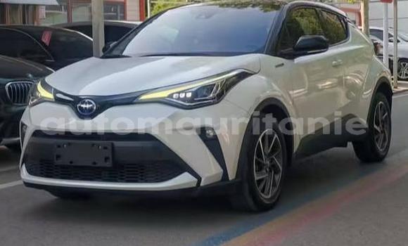 Buy Used Toyota C-HR White Car in Arafat in Wilaya of Trarza