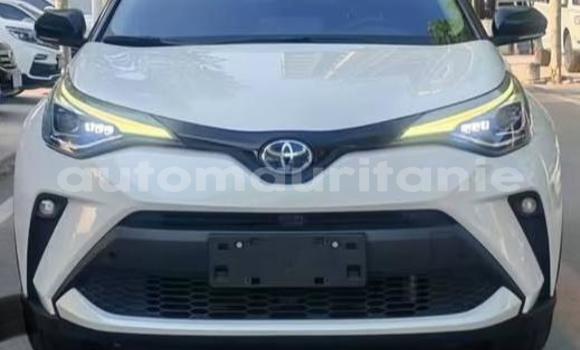 Acheter Occasion Voiture Toyota C-HR Blanc à Arafat, Wilaya du Trarza Acheter Occasion Voiture Toyota C-HR Blanc à Arafat, Wilaya du Trarza