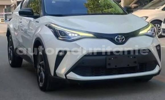 Acheter Occasion Voiture Toyota C-HR Blanc à Arafat, Wilaya du Trarza Acheter Occasion Voiture Toyota C-HR Blanc à Arafat, Wilaya du Trarza