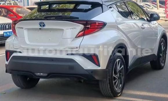 Acheter Occasion Voiture Toyota C-HR Blanc à Arafat, Wilaya du Trarza Acheter Occasion Voiture Toyota C-HR Blanc à Arafat, Wilaya du Trarza