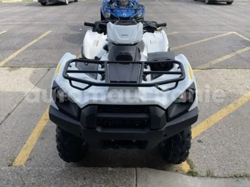 Big with watermark kawasaki brute force wilaya du trarza arafat 5129