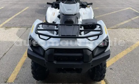Acheter Neuf Moto Kawasaki Brute Force Blanc à Arafat, Wilaya du Trarza Acheter Neuf Moto Kawasaki Brute Force Blanc à Arafat, Wilaya du Trarza