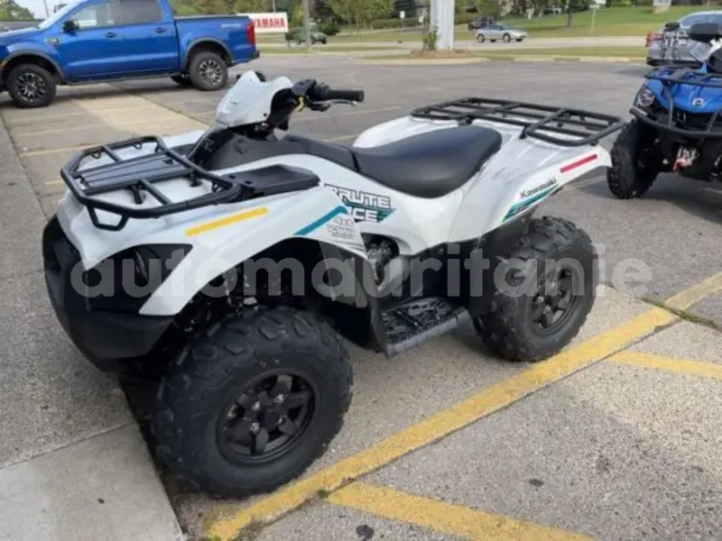 Big with watermark kawasaki brute force wilaya du trarza arafat 5129