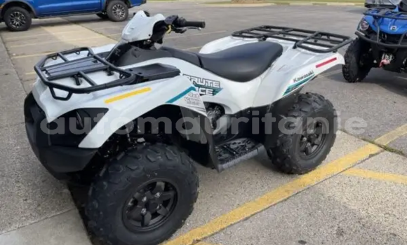Acheter Neuf Moto Kawasaki Brute Force Blanc à Arafat, Wilaya du Trarza Acheter Neuf Moto Kawasaki Brute Force Blanc à Arafat, Wilaya du Trarza
