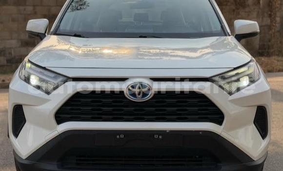Acheter Occasion Voiture Toyota RAV4 Blanc à Arafat, Wilaya du Trarza