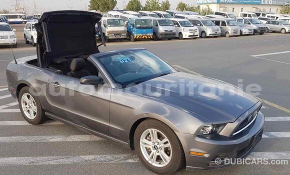 Acheter Import Voiture Ford Mustang Autre à Import - Dubai, Adrar Acheter Import Voiture Ford Mustang Autre à Import - Dubai, Adrar