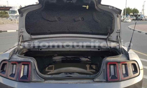 Acheter Import Voiture Ford Mustang Autre à Import - Dubai, Adrar Acheter Import Voiture Ford Mustang Autre à Import - Dubai, Adrar