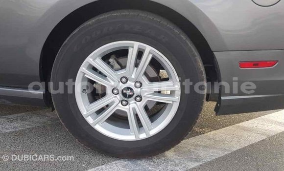 Acheter Import Voiture Ford Mustang Autre à Import - Dubai, Adrar Acheter Import Voiture Ford Mustang Autre à Import - Dubai, Adrar