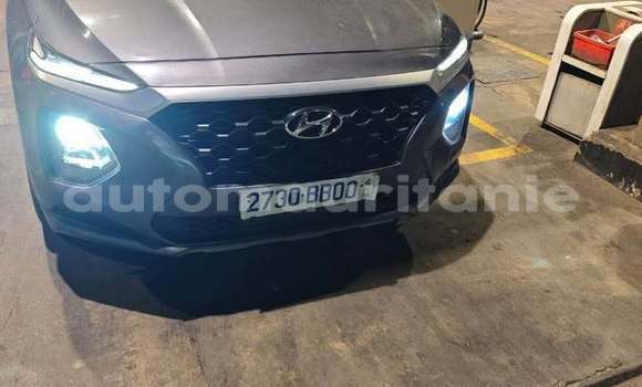 Acheter Occasion Voiture Hyundai Santa Fe Gris à Akjoujt, Inchiri Acheter Occasion Voiture Hyundai Santa Fe Gris à Akjoujt, Inchiri