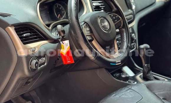 Acheter Occasion Voiture Jeep Compass Gris à Alaq, Brakna