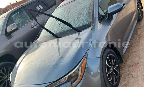 Acheter Occasion Voiture Toyota Corolla Gris à Aioun, Hodh El Gharbi