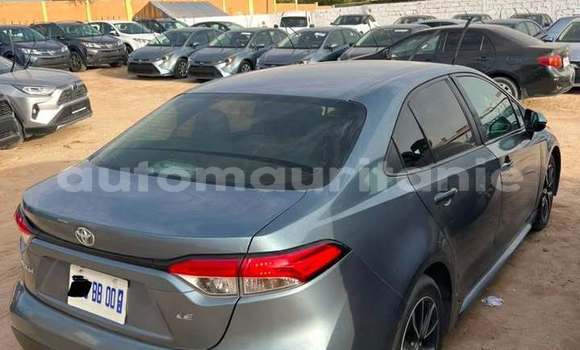 Acheter Occasion Voiture Toyota Corolla Gris à Aioun, Hodh El Gharbi Acheter Occasion Voiture Toyota Corolla Gris à Aioun, Hodh El Gharbi