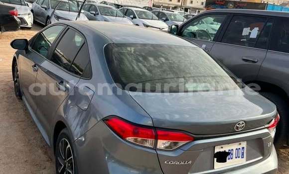 Acheter Occasion Voiture Toyota Corolla Gris à Aioun, Hodh El Gharbi Acheter Occasion Voiture Toyota Corolla Gris à Aioun, Hodh El Gharbi