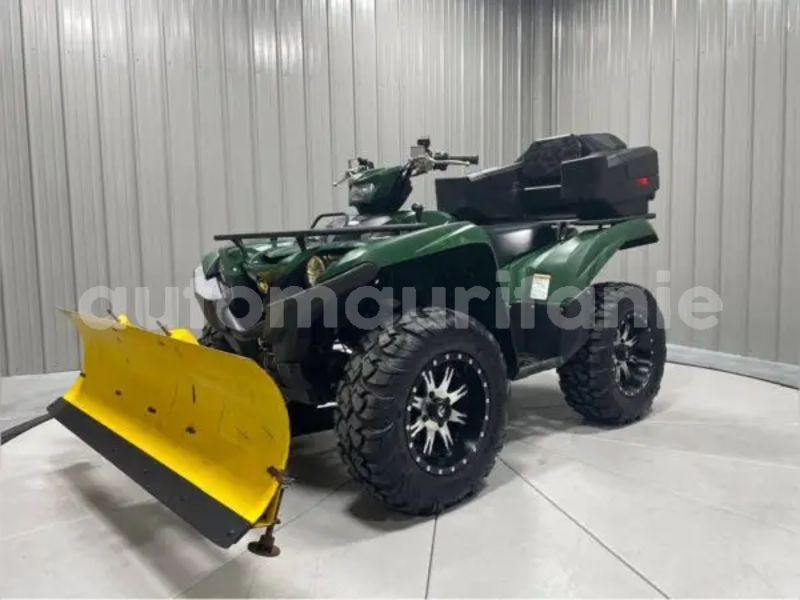 Big with watermark yamaha grizzly brakna boghe 5151