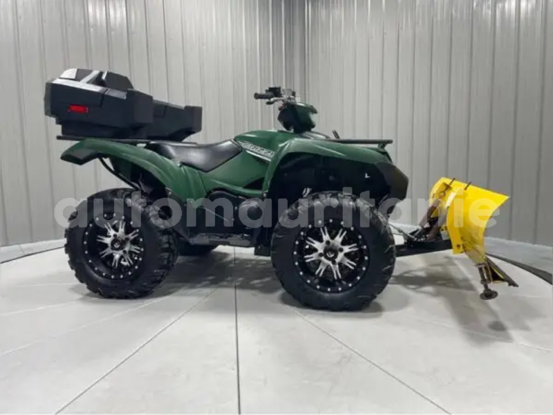 Big with watermark yamaha grizzly brakna boghe 5151