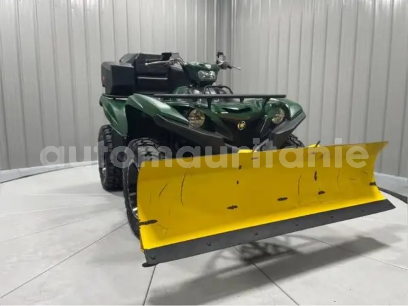 Big with watermark yamaha grizzly brakna boghe 5151
