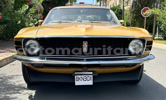 Buy Used Ford Mustang Other Car in Nouadhibou in Dakhlet Nouadhibou Buy Used Ford Mustang Other Car in Nouadhibou in Dakhlet Nouadhibou