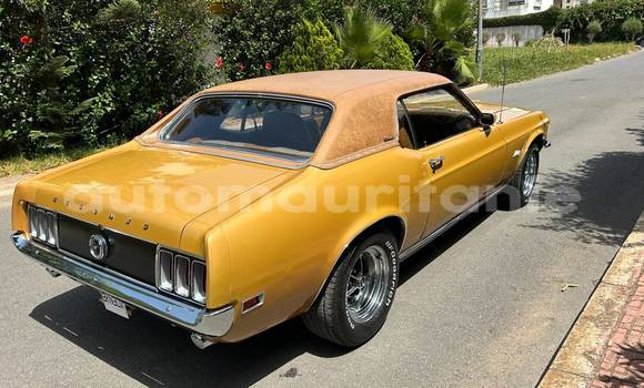 Buy Used Ford Mustang Other Car in Nouadhibou in Dakhlet Nouadhibou Buy Used Ford Mustang Other Car in Nouadhibou in Dakhlet Nouadhibou