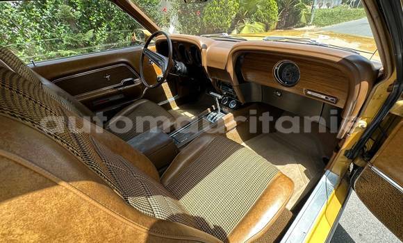 Buy Used Ford Mustang Other Car in Nouadhibou in Dakhlet Nouadhibou Buy Used Ford Mustang Other Car in Nouadhibou in Dakhlet Nouadhibou
