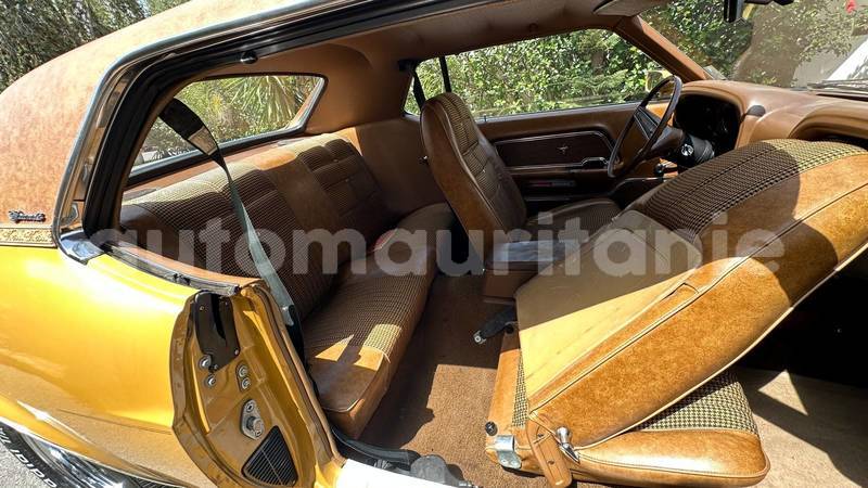 Big with watermark ford mustang dakhlet nouadhibou nouadhibou 5152