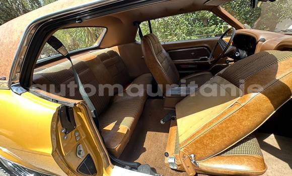Buy Used Ford Mustang Other Car in Nouadhibou in Dakhlet Nouadhibou Buy Used Ford Mustang Other Car in Nouadhibou in Dakhlet Nouadhibou