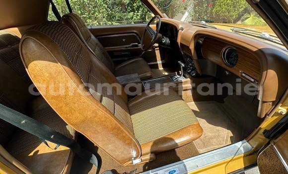 Buy Used Ford Mustang Other Car in Nouadhibou in Dakhlet Nouadhibou Buy Used Ford Mustang Other Car in Nouadhibou in Dakhlet Nouadhibou