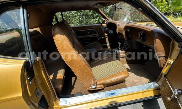 Buy Used Ford Mustang Other Car in Nouadhibou in Dakhlet Nouadhibou Buy Used Ford Mustang Other Car in Nouadhibou in Dakhlet Nouadhibou