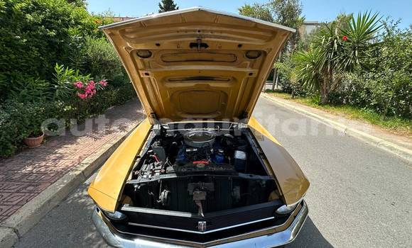 Buy Used Ford Mustang Other Car in Nouadhibou in Dakhlet Nouadhibou Buy Used Ford Mustang Other Car in Nouadhibou in Dakhlet Nouadhibou