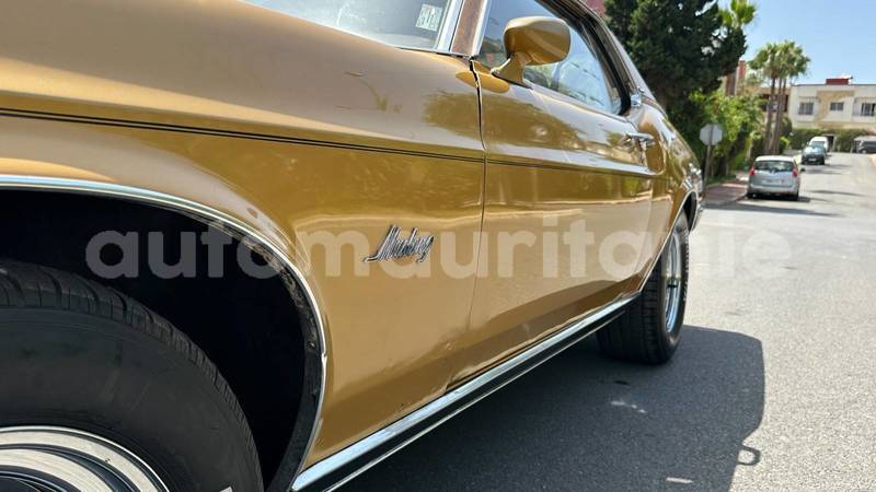 Big with watermark ford mustang dakhlet nouadhibou nouadhibou 5152