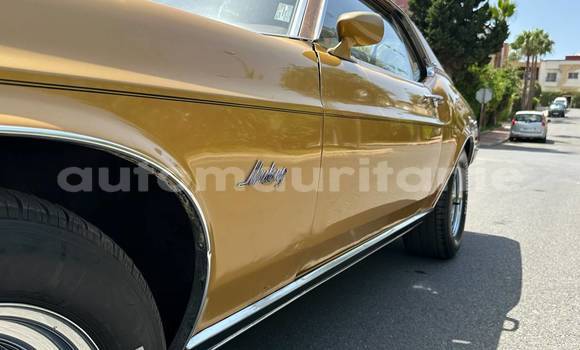 Buy Used Ford Mustang Other Car in Nouadhibou in Dakhlet Nouadhibou Buy Used Ford Mustang Other Car in Nouadhibou in Dakhlet Nouadhibou