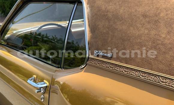 Buy Used Ford Mustang Other Car in Nouadhibou in Dakhlet Nouadhibou Buy Used Ford Mustang Other Car in Nouadhibou in Dakhlet Nouadhibou