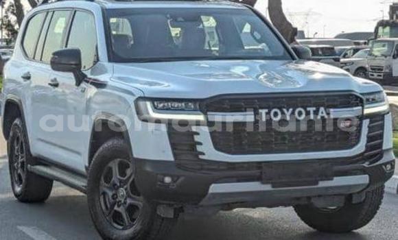 Acheter Occasion Voiture Toyota Land Cruiser Blanc à Arafat, Wilaya du Trarza