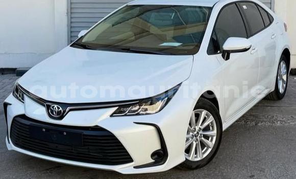 Acheter Occasion Voiture Toyota Corolla Blanc à Arafat, Wilaya du Trarza
