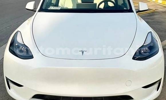 Acheter Occasion Voiture Tesla Model X Blanc à Arafat, Wilaya du Trarza