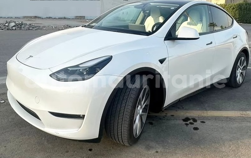 Big with watermark tesla model x wilaya du trarza arafat 5170