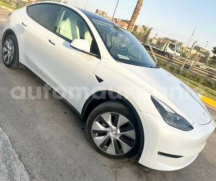 Big with watermark tesla model x wilaya du trarza arafat 5170