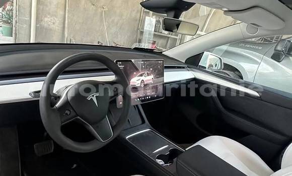 Buy Used Tesla Model X White Car in Arafat in Wilaya of Trarza Buy Used Tesla Model X White Car in Arafat in Wilaya of Trarza